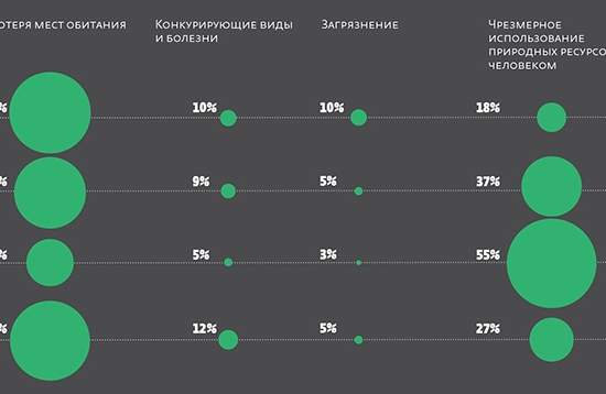 Паутина жизни редеет на глазах